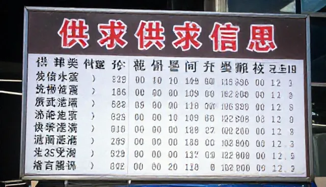 如何选择适合自己的服务方案?